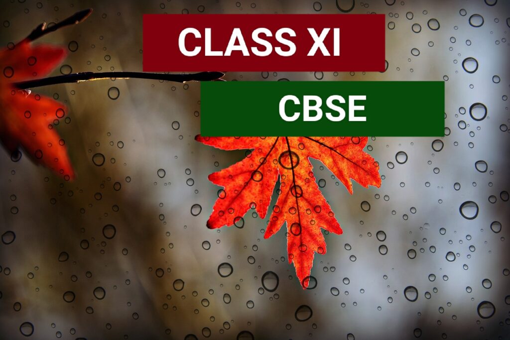 CBSE CLASS XI