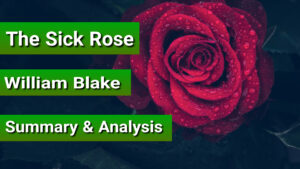 The sick rose