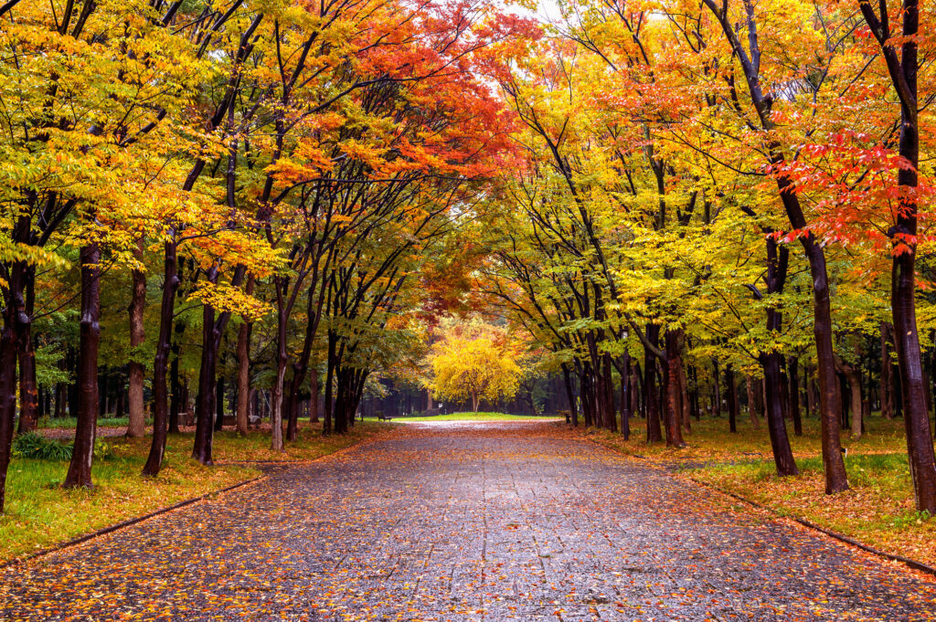 To Autumn