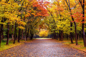 To Autumn