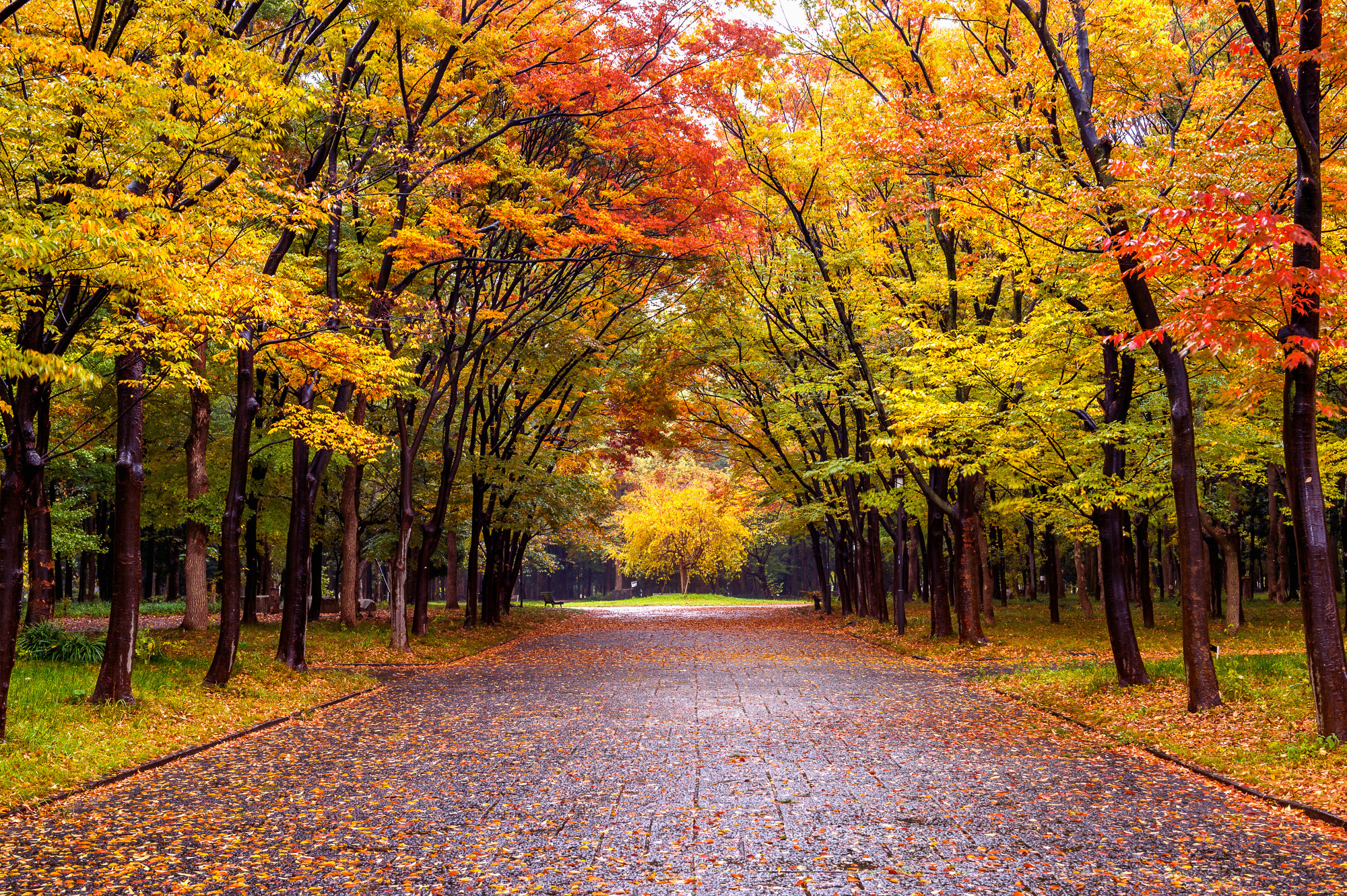 To Autumn