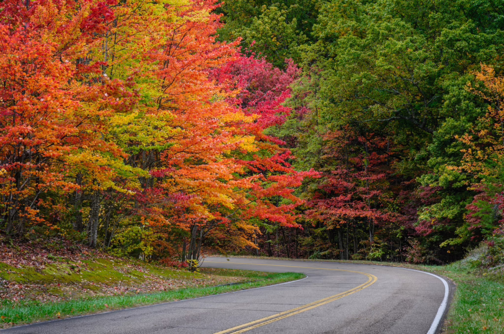 to autumn