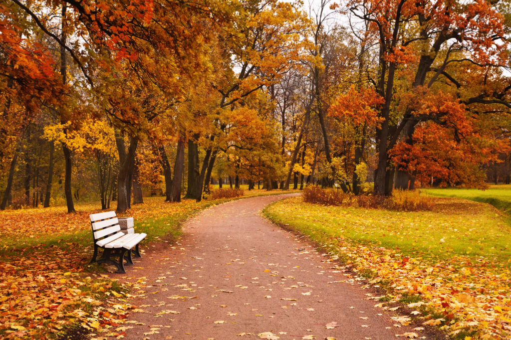 to autumn